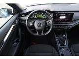 Skoda Octavia bei Gebrauchtwagen.expert - Abbildung (12 / 15) Skoda Octavia bei Gebrauchtwagen.expert - Abbildung (12 / 15)