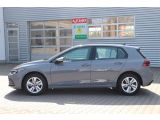 VW Golf VIII bei Gebrauchtwagen.expert - Abbildung (3 / 15)