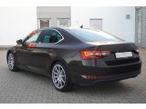 Skoda Superb bei Gebrauchtwagen.expert - Abbildung (8 / 15) Skoda Superb bei Gebrauchtwagen.expert - Abbildung (8 / 15)