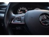Skoda Superb bei Gebrauchtwagen.expert - Abbildung (13 / 15) Skoda Superb bei Gebrauchtwagen.expert - Abbildung (13 / 15)