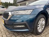 Skoda Octavia bei Gebrauchtwagen.expert - Abbildung (14 / 15)