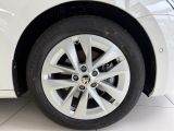 Skoda Octavia bei Gebrauchtwagen.expert - Abbildung (4 / 5)