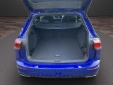 VW Golf VIII bei Gebrauchtwagen.expert - Abbildung (9 / 10)