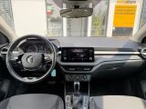 Skoda Fabia bei Gebrauchtwagen.expert - Abbildung (11 / 15)