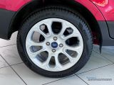 Ford EcoSport bei Gebrauchtwagen.expert - Abbildung (14 / 15)
