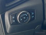 Ford EcoSport bei Gebrauchtwagen.expert - Abbildung (9 / 15)