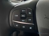 Ford Fiesta bei Gebrauchtwagen.expert - Abbildung (14 / 15)