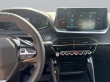 Peugeot 208 bei Gebrauchtwagen.expert - Abbildung (13 / 14)