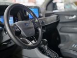 Ford Tourneo bei Gebrauchtwagen.expert - Abbildung (12 / 15)