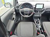 Ford Fiesta bei Gebrauchtwagen.expert - Abbildung (14 / 15)