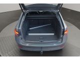 Skoda Superb bei Gebrauchtwagen.expert - Abbildung (6 / 15)