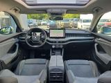 Skoda Superb bei Gebrauchtwagen.expert - Abbildung (13 / 15)