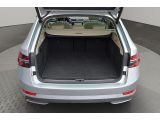 Skoda Superb bei Gebrauchtwagen.expert - Abbildung (6 / 15)