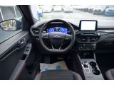 Ford Kuga bei Gebrauchtwagen.expert - Abbildung (11 / 15)