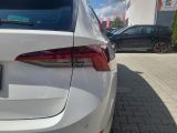 Skoda Octavia bei Gebrauchtwagen.expert - Abbildung (13 / 15) Skoda Octavia bei Gebrauchtwagen.expert - Abbildung (13 / 15)