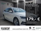 Skoda Octavia bei Gebrauchtwagen.expert - Abbildung (2 / 15) Skoda Octavia bei Gebrauchtwagen.expert - Abbildung (2 / 15)