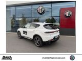 Alfa Romeo Tonale bei Gebrauchtwagen.expert - Abbildung (3 / 15)