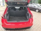 Skoda Fabia bei Gebrauchtwagen.expert - Abbildung (6 / 15)