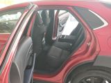 Mazda CX-30 bei Gebrauchtwagen.expert - Abbildung (13 / 15)