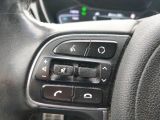Kia Niro bei Gebrauchtwagen.expert - Abbildung (11 / 15)