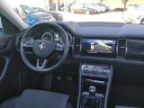 Skoda Kodiaq bei Gebrauchtwagen.expert - Abbildung (12 / 15)