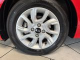 Kia Picanto bei Gebrauchtwagen.expert - Abbildung (15 / 15)