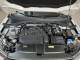 VW T-Roc bei Gebrauchtwagen.expert - Abbildung (5 / 14)