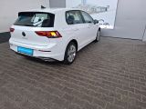 VW Golf VIII bei Gebrauchtwagen.expert - Abbildung (4 / 13)