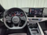 Audi A4 Allroad Quattro bei Gebrauchtwagen.expert - Abbildung (12 / 15)