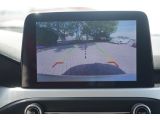 Ford Focus bei Gebrauchtwagen.expert - Abbildung (11 / 15)