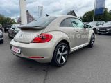 VW Beetle bei Gebrauchtwagen.expert - Abbildung (5 / 13)