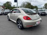VW Beetle bei Gebrauchtwagen.expert - Abbildung (6 / 13)