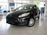 Ford Fiesta bei Gebrauchtwagen.expert - Abbildung (9 / 14)
