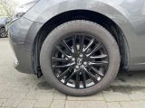 Mazda 2 bei Gebrauchtwagen.expert - Abbildung (6 / 12)