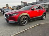Mazda CX-30 bei Gebrauchtwagen.expert - Abbildung (2 / 15)