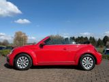 VW Beetle bei Gebrauchtwagen.expert - Abbildung (14 / 15)
