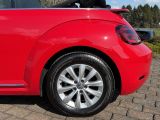 VW Beetle bei Gebrauchtwagen.expert - Abbildung (5 / 15)