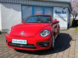 VW Beetle bei Gebrauchtwagen.expert - Abbildung (3 / 15)