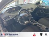 Peugeot 308 bei Gebrauchtwagen.expert - Abbildung (10 / 15)