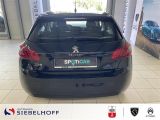 Peugeot 308 bei Gebrauchtwagen.expert - Abbildung (6 / 15)