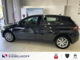 Peugeot 308 bei Gebrauchtwagen.expert - Abbildung (8 / 15)