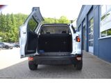 Ford EcoSport bei Gebrauchtwagen.expert - Abbildung (9 / 15)