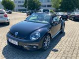 VW Beetle bei Gebrauchtwagen.expert - Abbildung (10 / 14)