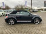 VW Beetle bei Gebrauchtwagen.expert - Abbildung (4 / 14)