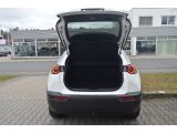 Mazda MX-30 bei Gebrauchtwagen.expert - Abbildung (8 / 15)