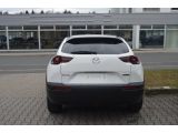 Mazda MX-30 bei Gebrauchtwagen.expert - Abbildung (7 / 15)