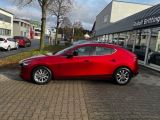 Mazda 3 bei Gebrauchtwagen.expert - Abbildung (4 / 15)