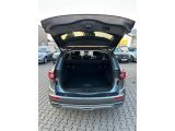 Renault Koleos bei Gebrauchtwagen.expert - Abbildung (9 / 15)