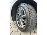 Hyundai i30 bei Gebrauchtwagen.expert - Abbildung (12 / 15)