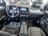 Mercedes-Benz B-Klasse bei Gebrauchtwagen.expert - Abbildung (8 / 15)
